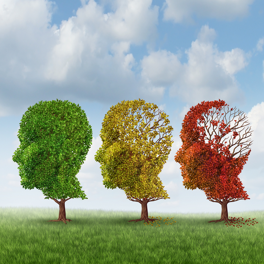 Alzheimer's Care Alpharetta GA - Finding Assistance During the Three Stages of Alzheimer's Disease